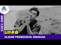 Lagu MGR Hits | Ulagam Pirandhadhu Enakkaga Video Song | Paasam Tamil Movie | MGR | Pyramid Glitz Music