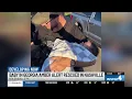 Baby in Georgia Amber Alert rescued in Nashville