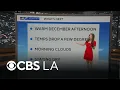 Alex Biston s NEXT Weather forecast