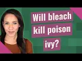 Will bleach kill poison ivy