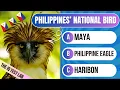 50 Philippines Trivia Questions General Knowledge Quiz The IQ Test Lab