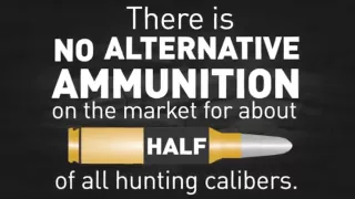 Ammunition Under Attack Anti Hunting Groups are Working to Ban Traditional Ammo