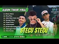 Lagu Faris Adam - STECU | Juan Reza - PICA PICA | NYONG TIMUR || LAGU POP TIMUR VIRAL TIKTOK 2025