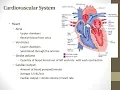 Fundamentals Chapter 39 Oxygenation MP4