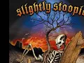 This Joint By: Slightly Stoopid