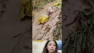 إجراءات السيطرة على الفيضانات موسيقى حب أغنية أغنية مقتبسة مغني وكاتب أغاني ترامب سيارة  إجراءات السيطرة على الفيضانات موسيقى حب أغنية أغنية مقتبسة مغني وكاتب أغاني ترامب سيارة