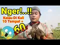 Download Lagu Terlalu Mudah Di Pikat,Mikat Burung Kerak Basi Poin 6 ekor @SobatPikat