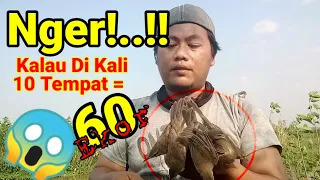 Download Terlalu Mudah Di Pikat,Mikat Burung Kerak Basi Poin 6 ekor @SobatPikat MP3