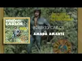 Amada Amante - Roberto Carlos