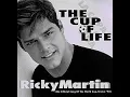 Ricky Martin The Cup of Life INSTRUMENTAL