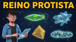 REINO PROTISTA - PROTOCTISTA - ALGAS E PROTOZOÁRIOS | Animação