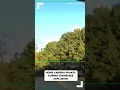 Download Lagu Tennessee plant explosion | Home security camera shakes from blast | VIDEO
