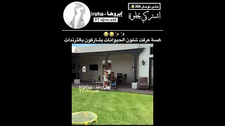                                                                                                    دندنها