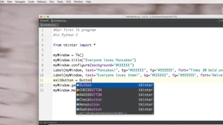 Python Tkinkter Make an Exit Button