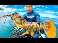 Download Lagu Can I Cook Giant Lobster On A Rock?