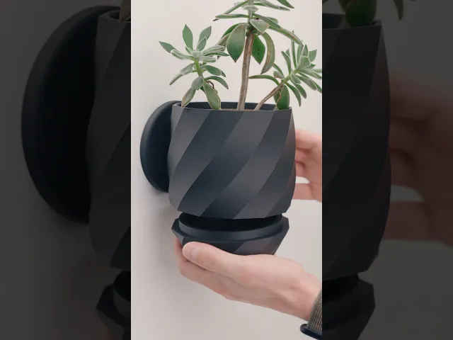 Twisted Planter video thumbnail