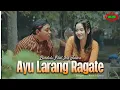 Download Lagu BARDOLO FEAT IVA JENIVA - AYU LARANG RAGATE ( Official Video Music )