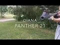 Lagu Diana Panther 21 air rifle