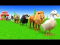 Download Lagu Long Slide Game With Cow Elephant Gorilla Hippopotamus Tiger 3d Animal Game Funny 3d Animals