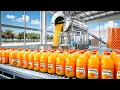 How Orange Juice Is Made In Factory