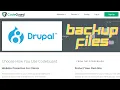 Drupal full backup Using CODEGUARD Restoring Your Website