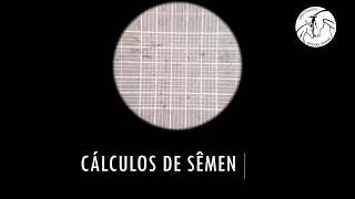 Como fazer cálculos de sêmen em Medicina Veterinária