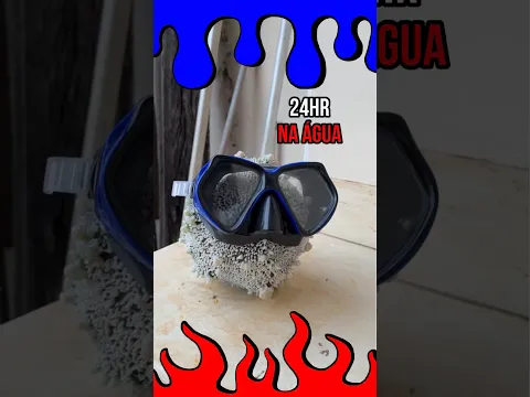 R.I.P BOLA DE COLA #shorts