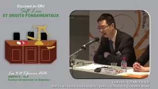 Colloque "Soft Law et droits fondamentaux" - Intervention Mr Ludovic CHAN-TUNG