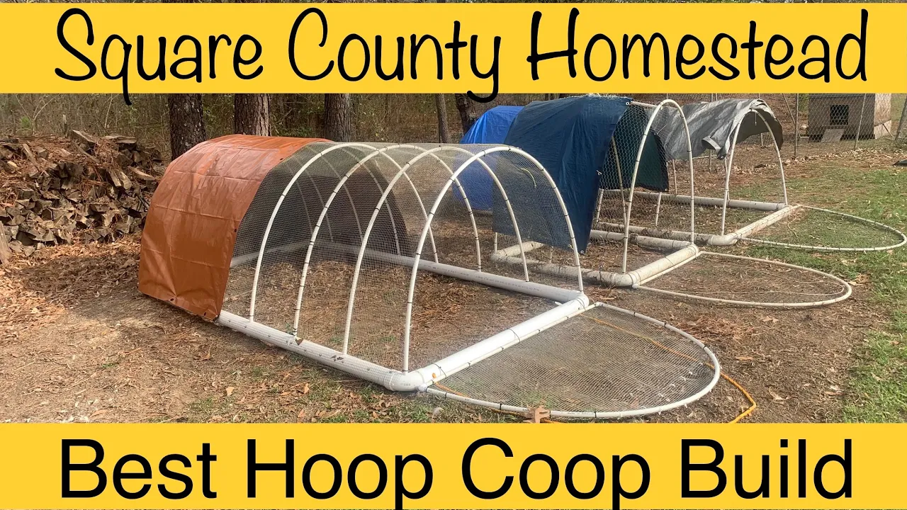 How to build a hoop coop