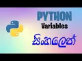 Variables Python Tutorial for Beginners with Examples in Sinhala