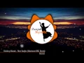 Download Lagu Kuldeep Manak - Heer Ranjha (Maximum NRG Remix)