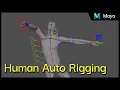 Maya - Biped auto rig