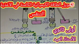تحويل الطاقةالكيميائية الكامنة في الأغذية التنفس الدرس 10 أولى ثانوي 2023 2022 