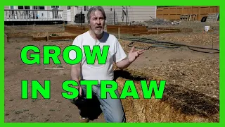 Start a Straw Bale Garden Complete How-to