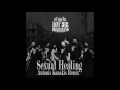 The Hot 8 Brass Band - Sexual Healing (Antonis Kanakis Remix)
