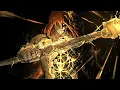 Download Lagu Elden Ring OST - The Final Battle (Radagon of the Golden Order) [Phase 1 Extended]