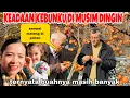 Lagu KEADAAN KEBUNKU DI SAAT MUSIM DINGIN DAN TERNYATA BUAH KESEMEKKU  MELIMPAH RUAH 