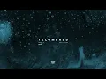 Sleep Token - Telomeres (Visualiser)