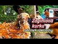 Download Lagu #chicken 🐤🐓🐤 Poszukiwania zaginionej kurki / Poranne wypuszczanie kur. 