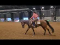 AQHA Ranch Riding Pattern