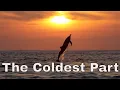 The Coldest Part (Stripped) - Emorie [Lyrics in Description]