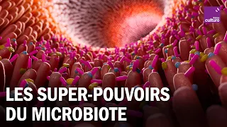 Comment le microbiote agit-il sur notre santé ?