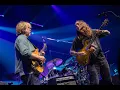 Phish with Billy Strings - 2024