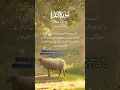 Download Lagu Surah Baqarah [02:159-161]#surah #allah #recitation #recital #trendingreels #viral #explore
