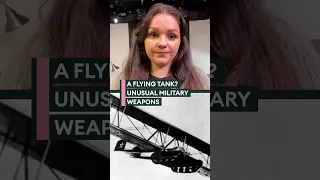 Bat bomb? Weird military weapons revealed👀
