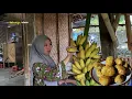Download Lagu Membuat camilan dari pisang, kroket pisang, super nikmat untuk keluarga, masak di desa 