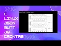 API based weather reporting system using C Linux terminal JSON Curl