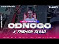 Download Lagu DJ ODNOGO TJAP TASSO X TREMOR CLARITY BASS HOREG