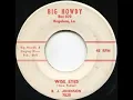 Wise Eyes - B.J. Johnson