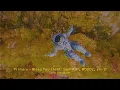 Download Lagu [Lyric Visualizer] Primary - Bless You (feat. Sam Kim, WOODZ, pH-1)